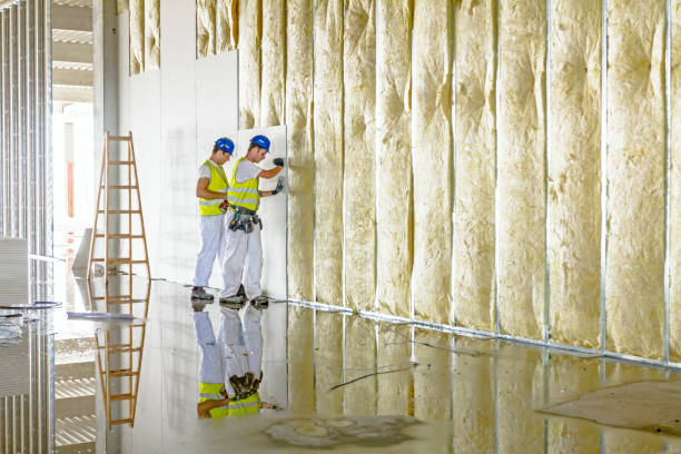 Best Insulation for New Construction  in Gordonsville, TN